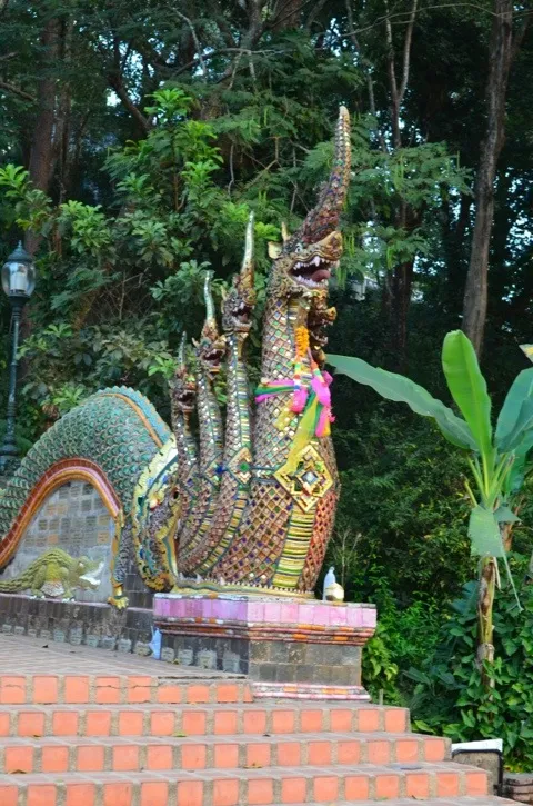 20120107-171606.jpg