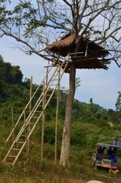 20120109-100539.jpg