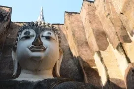 20120109-101846.jpg