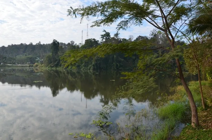 20120115-080932.jpg
