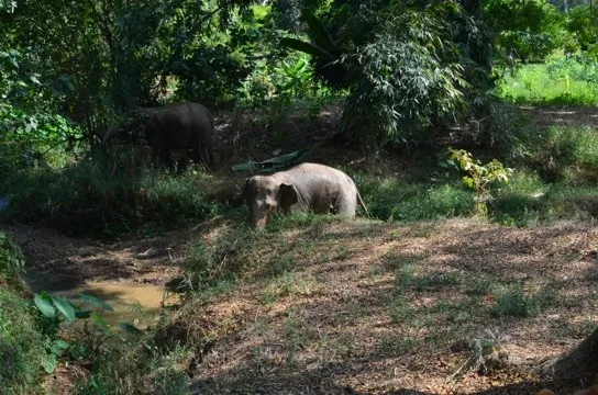 20120117-091623.jpg