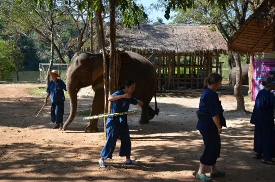 20120117-091806.jpg