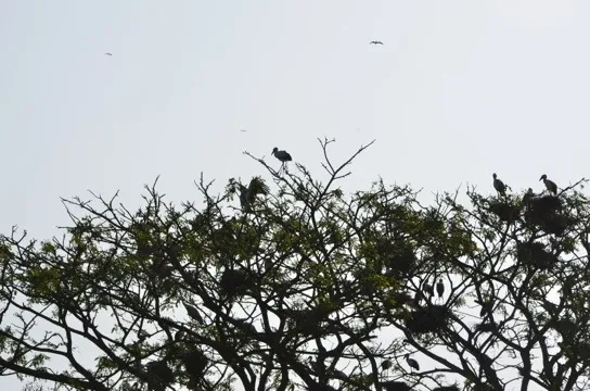 20120123-104908.jpg