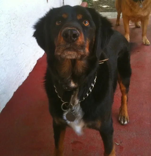 20120123-104937.jpg